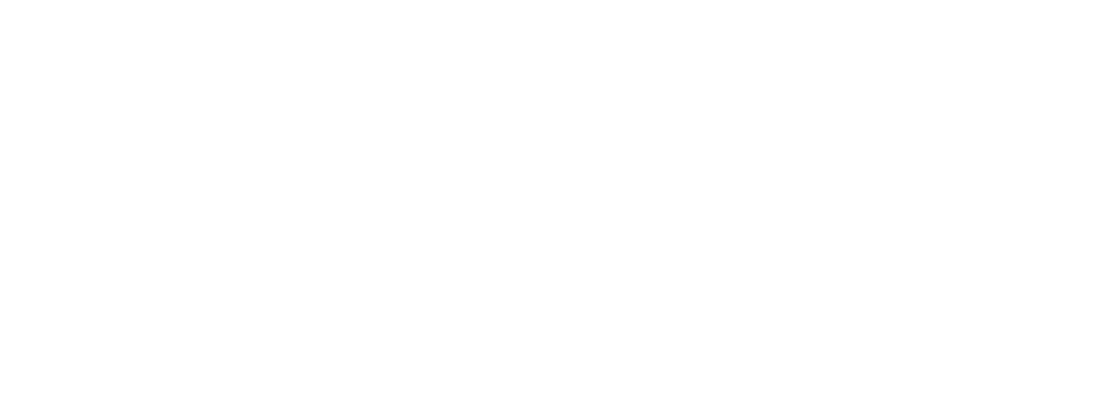 Bidli